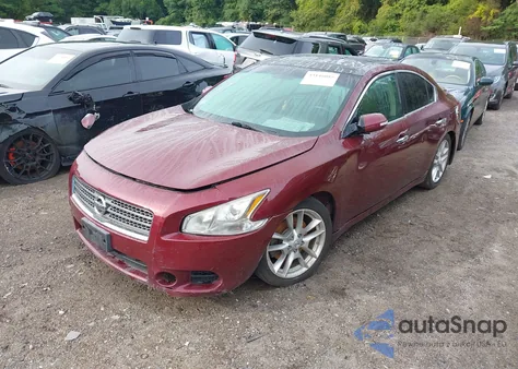 2010 Nissan Maxima 3.5 Sv из США, поврежденный, VIN 1N4AA5APXAC803947